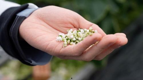 亚洲 国产 熟,国产熟品鉴之旅